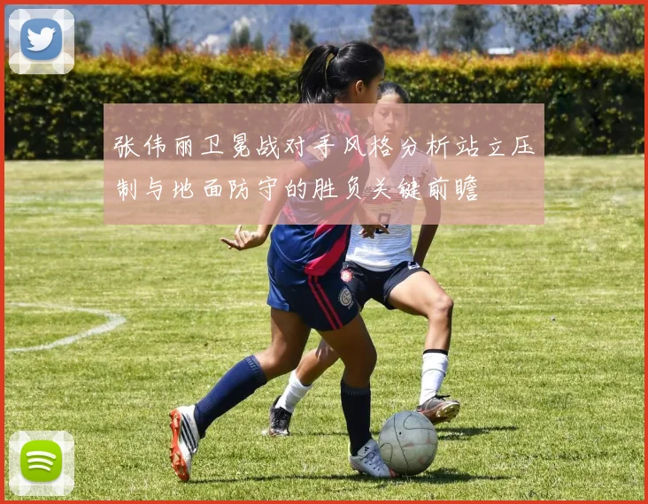 张伟丽卫冕战对手风格分析站立压制与地面防守的胜负关键前瞻
