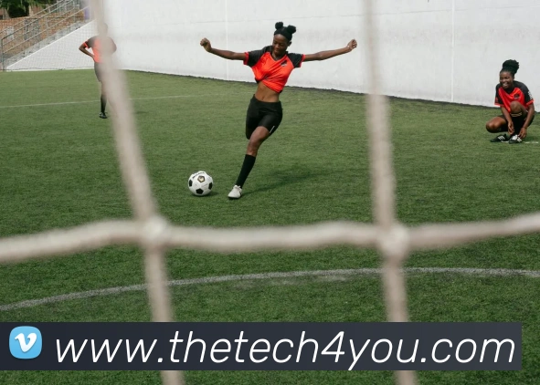 多彩内容专区
